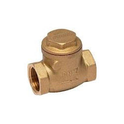 Válvula Retención Clapeta 4