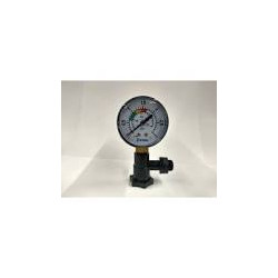 ASTRALPOOL Manómetro Filtro con Te y Purga