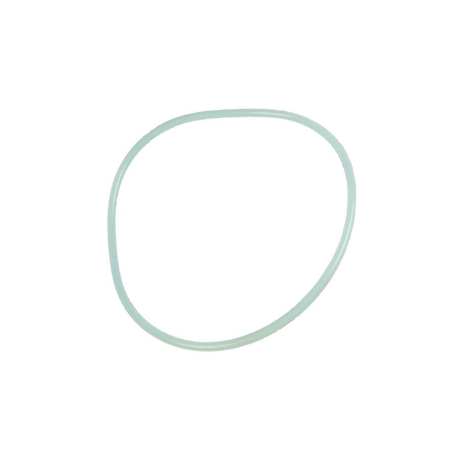 ASTRALPOOL Junta Tapa Filtro Volcano