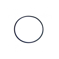 ASTRALPOOL Junta Tapa Prefiltro Sena