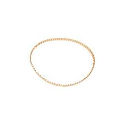 Correa de Tracción Limpiafondos