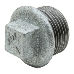 Tapón 2 1/2 Galvanizado