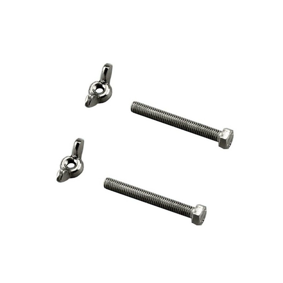 ASTRALPOOL Juego Tornillo y Palomilla para Pértiga