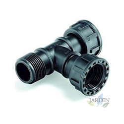 Te Colector Hembra - Hembra - Macho 1