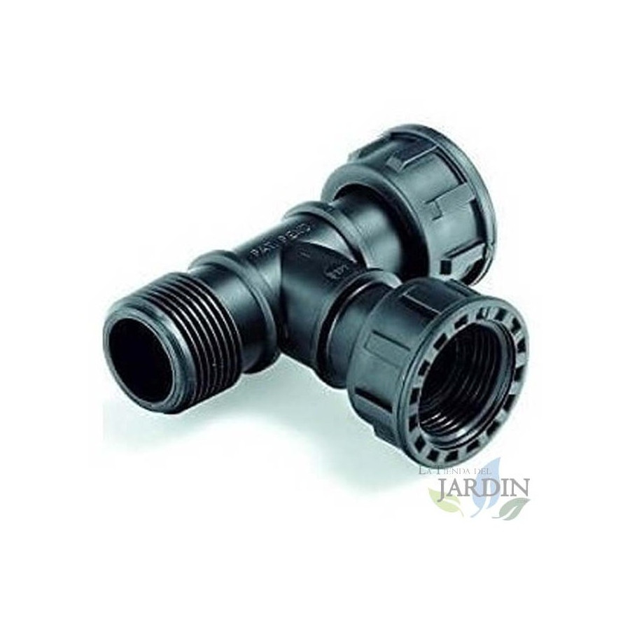 Te Colector Hembra - Hembra - Macho 1