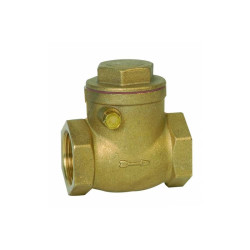 Válvula Retención Clapeta 1