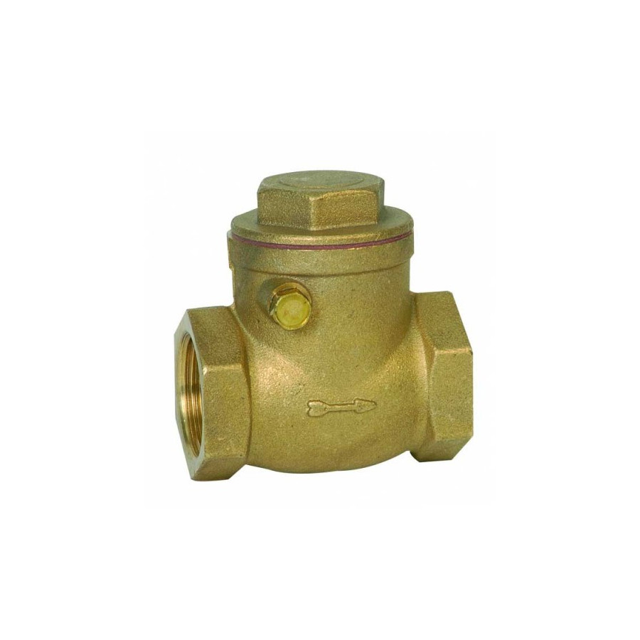 Válvula Retención Clapeta 1