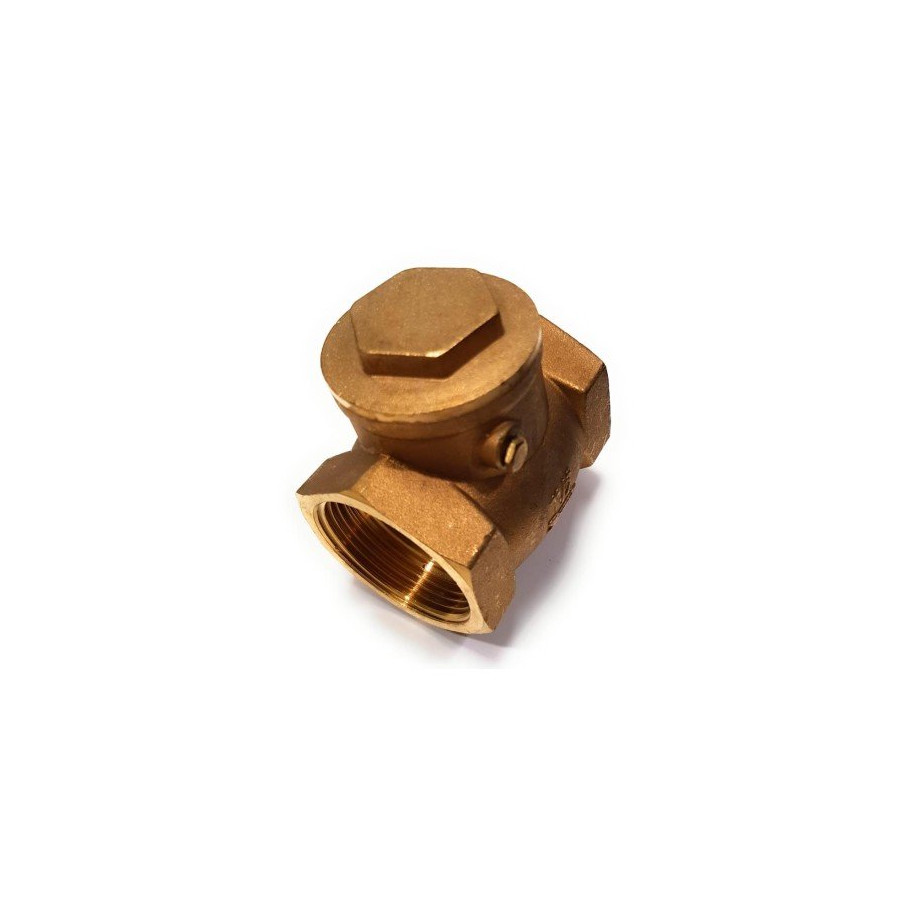 Válvula Retención Clapeta 2