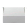 ASTRALPOOL Compuerta Skimmer Bisagra (Nueva)