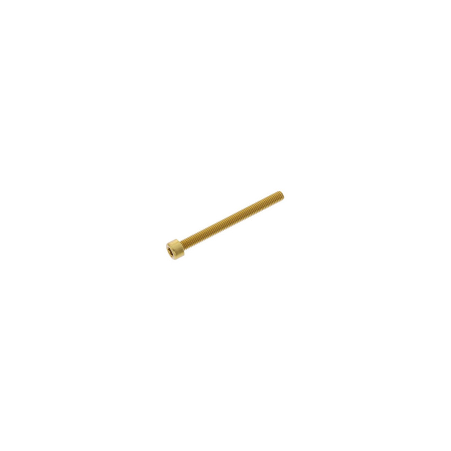 Tornillo M6 x 65 mm Dorado (R62)