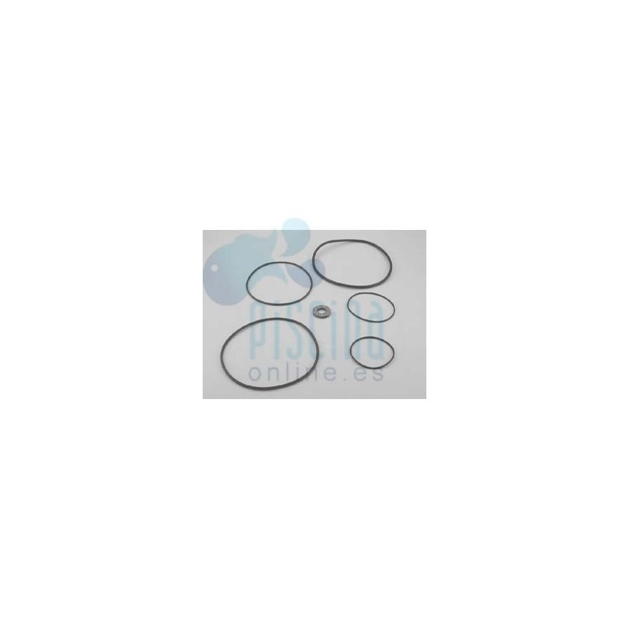 ASTRALPOOL Juego de Juntas Bomba 0,75/1,25 Hp