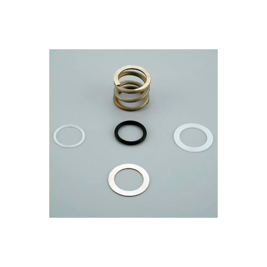 ASTRALPOOL Resorte con Arandelas Válvula Selectora