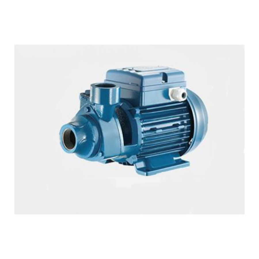 Bomba Periférica Pv - 10e