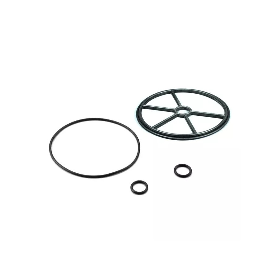 ASTRALPOOL Junta Válvula Selectora 1 1/2 Económico