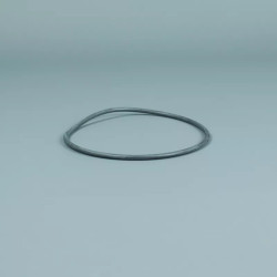 ASTRALPOOL Junta Tórica 118 x 5 mm