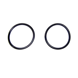 ASTRALPOOL Junta Tórica Filtro Milenium