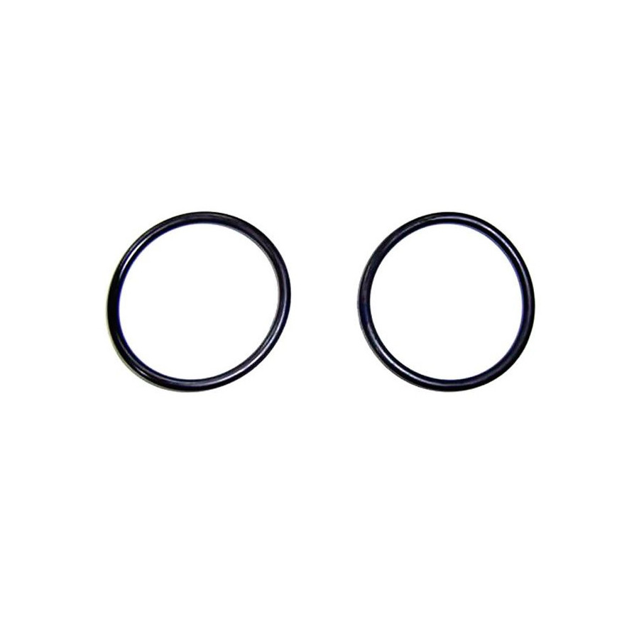 ASTRALPOOL Junta Tórica Filtro Milenium