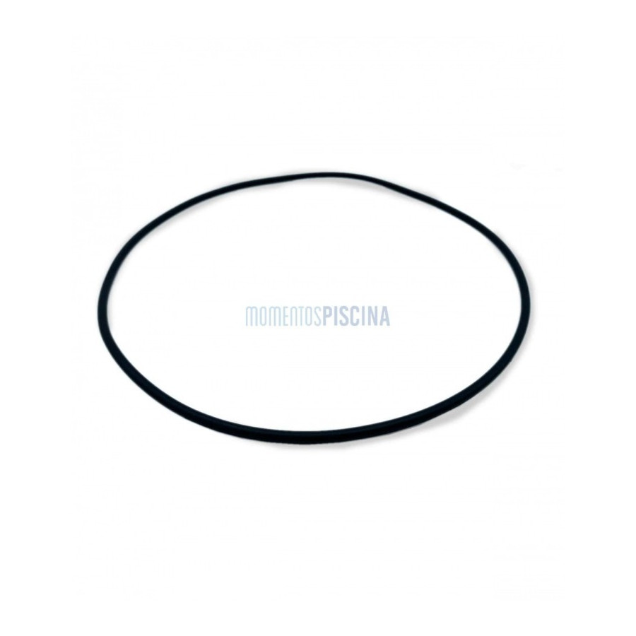 ESPA Junta Tórica Cuerpo Agua Silen