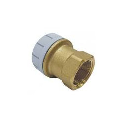 Manguito de Polibutileno Rosca Hembra 22 mm x 1/2